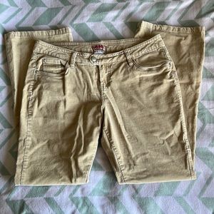Corduroy flare pants